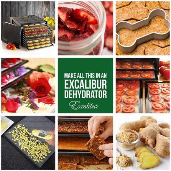 Electric Food Dehydrator Machine with 26-Hour Timer, Automatic Shut Off - Picture 5 of 7